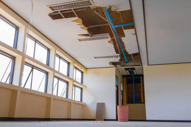Best Local water damage restoration  in Newport, SC