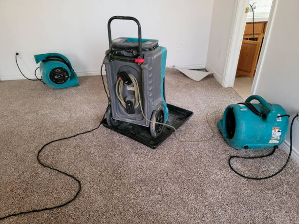 , SC Water damage restoration Company