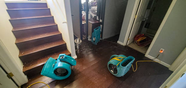 Best Carpet water damage restoration  in Newport, SC