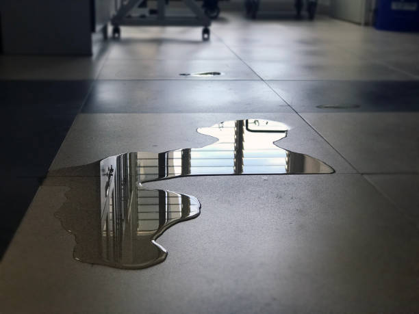 Best 24-hour water damage restoration  in Newport, SC