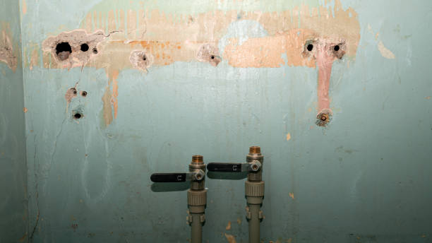 Best Water damage restoration cost  in Newport, SC