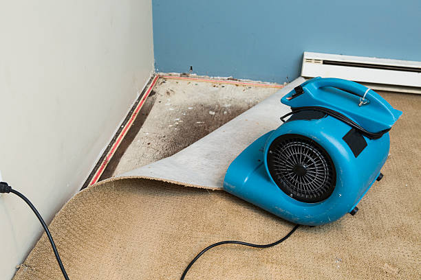 Best Ceiling water damage repair  in Newport, SC