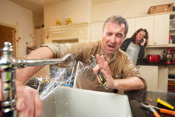  Newport, SC Water damage restoration Pros
